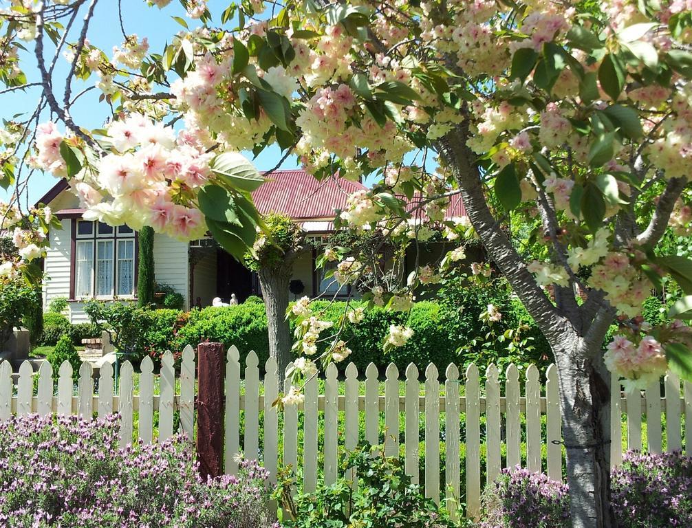 Barnsley House Bed And Breakfast Beechworth Exteriér fotografie